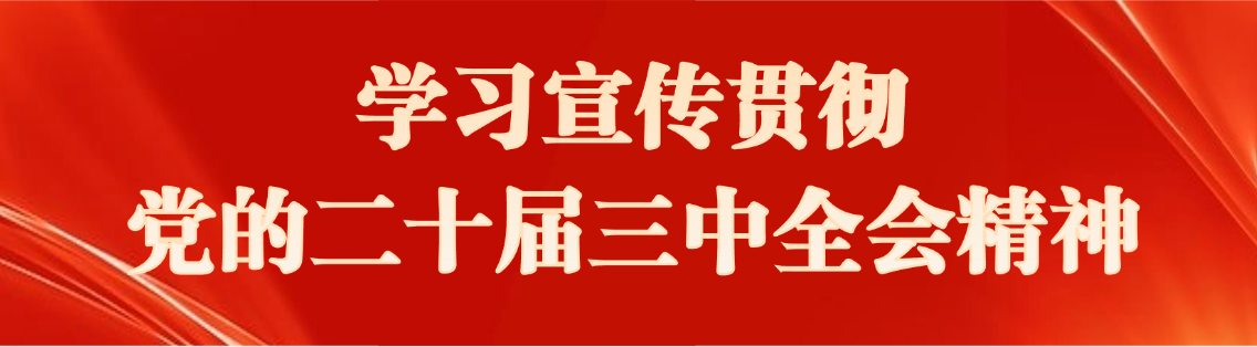 學習宣傳貫徹黨的二十屆三中全會精神
